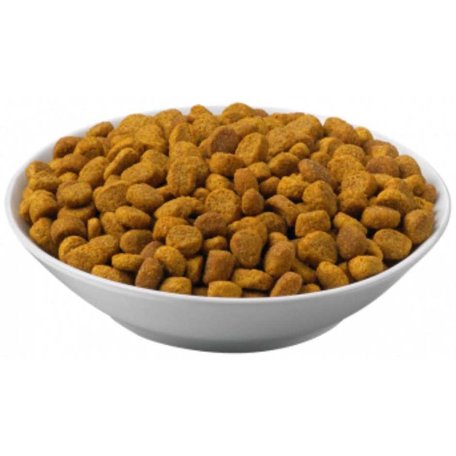 Overweight Management Dry Cat Food B465707