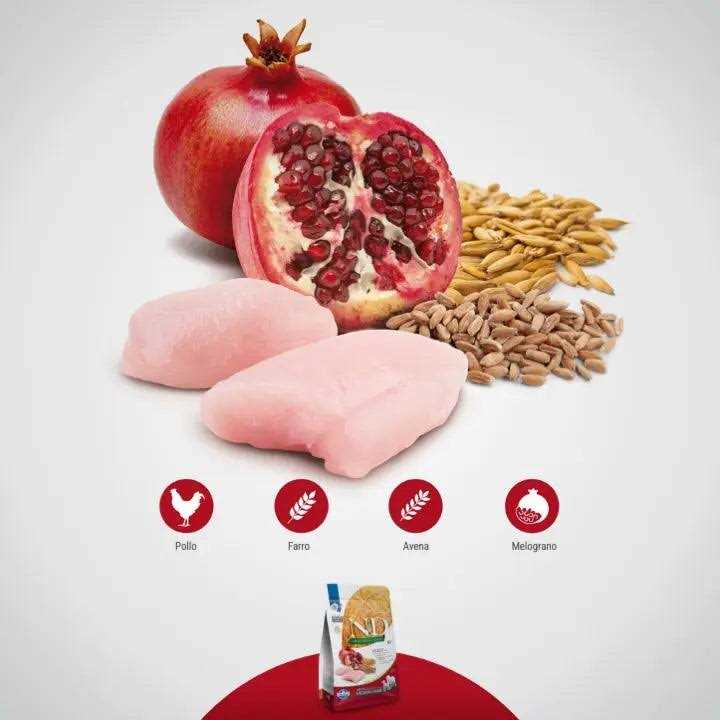 Chicken & Pomegranate Grain Adult Dry Dog Food, 26.5 lb N445660