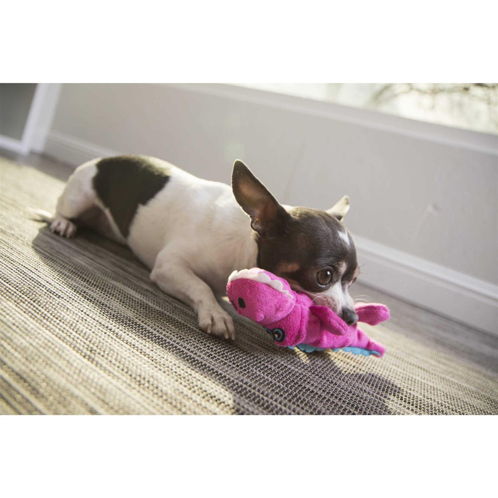 Chew Guard Dog Toy S347179