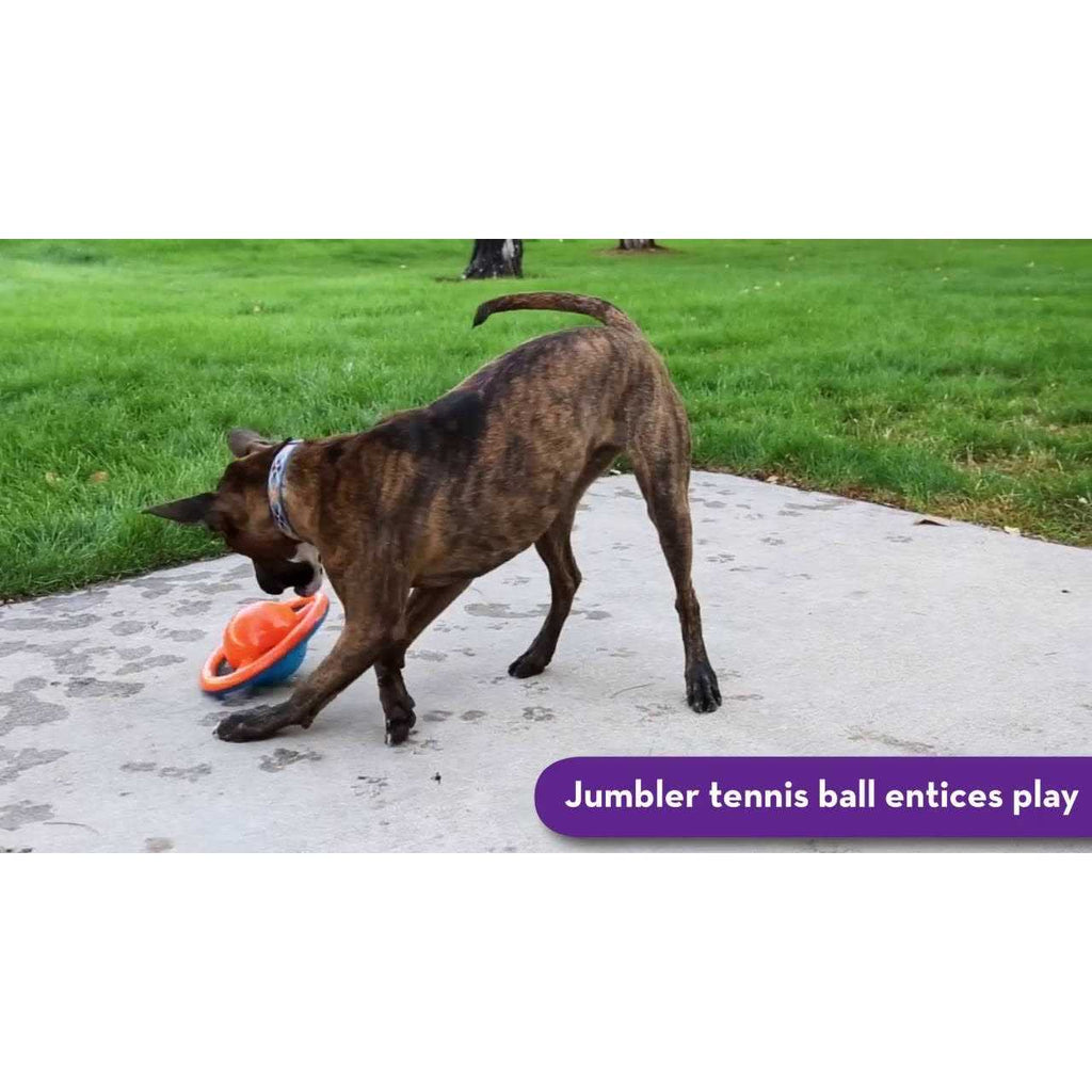 Dog Toy Disc P670
