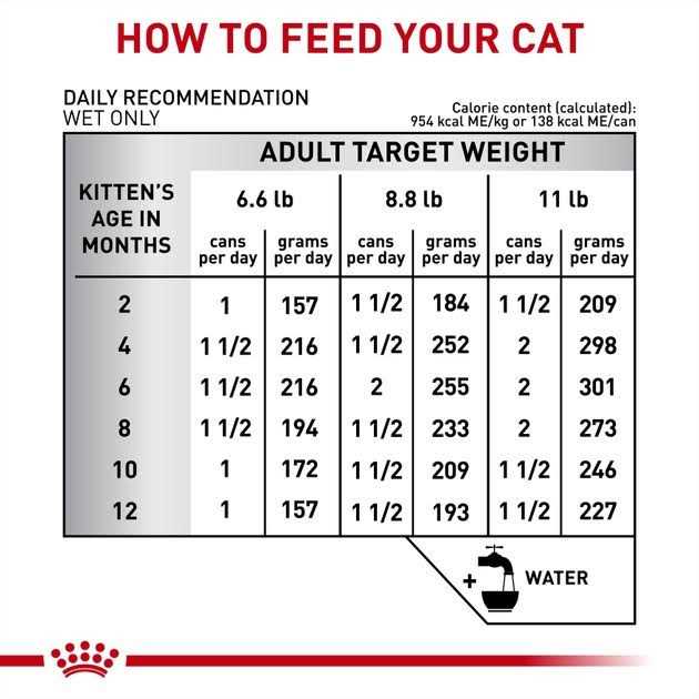 Gastrointestinal Kitten Ultra Soft Mousse in Sauce Canned Cat Food M82198