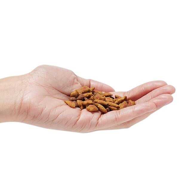 Hairball Control Dry Cat Food U24402