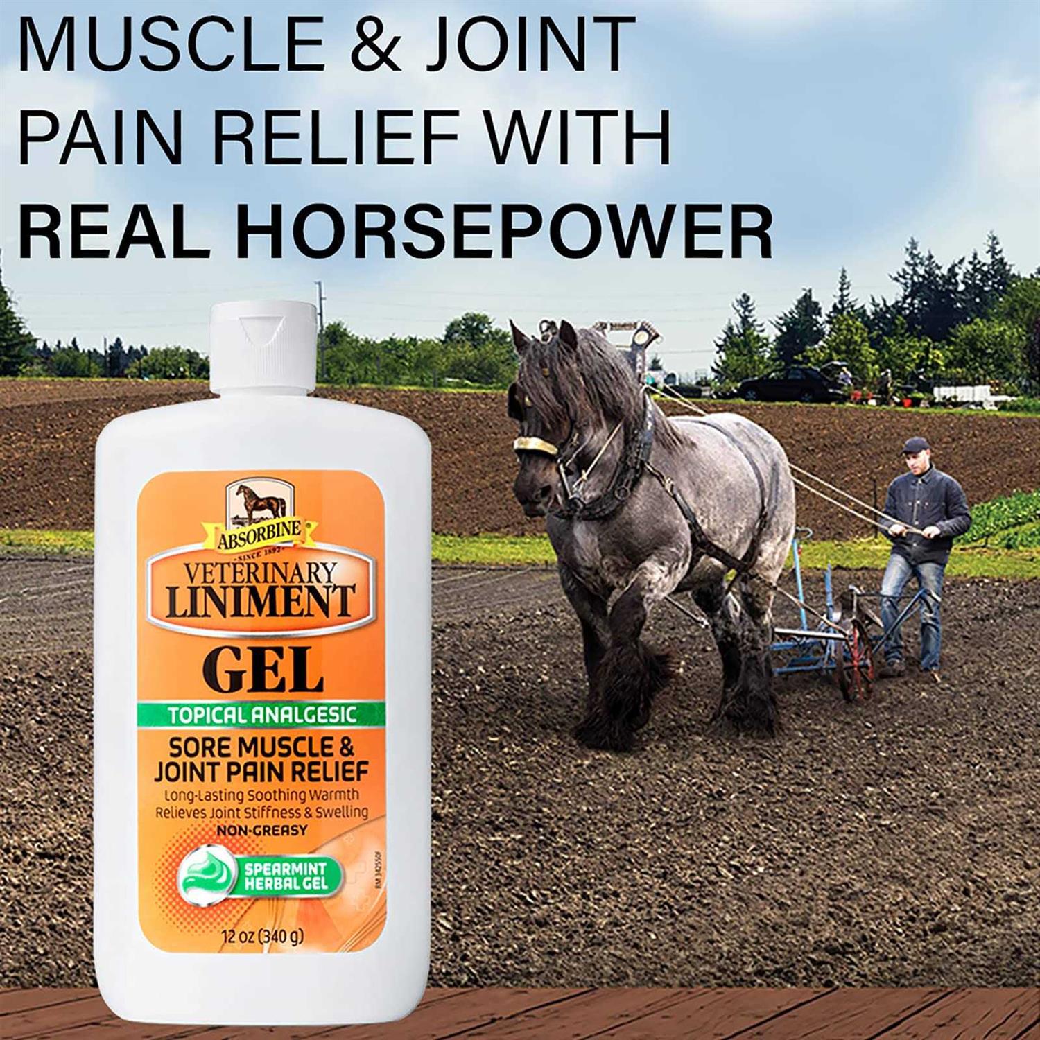 Veterinary Liniment Gel for Pets X426620