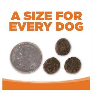 Grain Free Venison Red Lentils Dog Food Y280