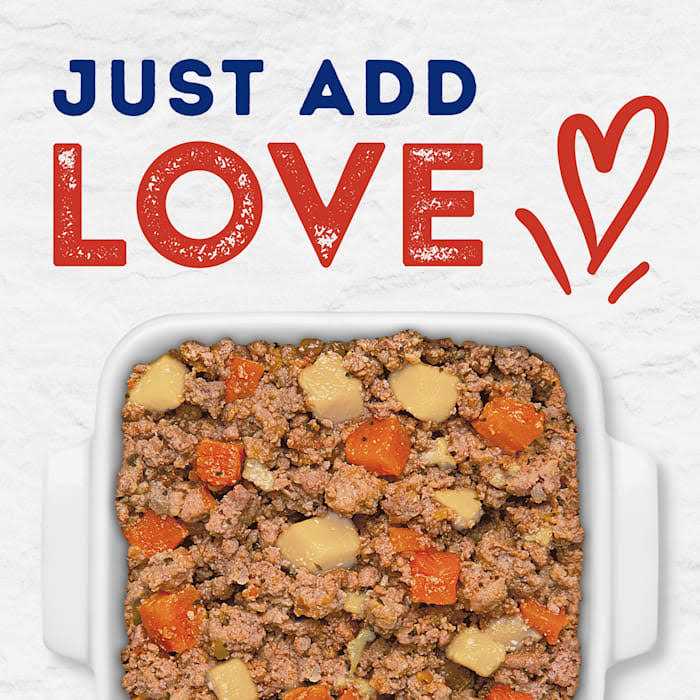 Tender Beef & Potato Recipe Wet Dog Food G2775