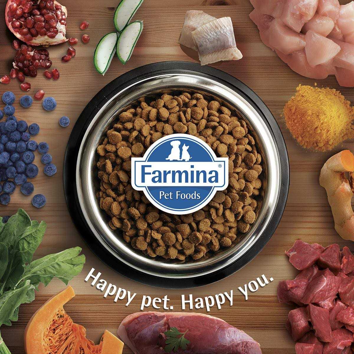 Chicken & Pomegranate Grain Dry Dog Food for Medium & Maxi Adult Dogs E760229