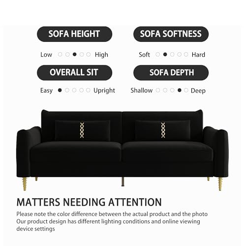 3-Seat Velvet Couch with Solid Wood Frame and Pillows B481145