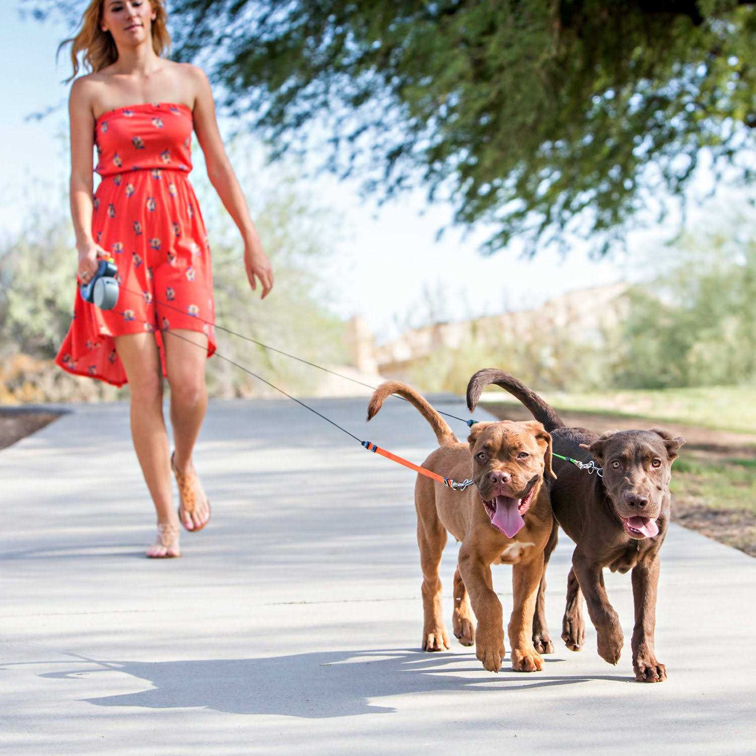 Dual Doggie Retractable Leash A2241