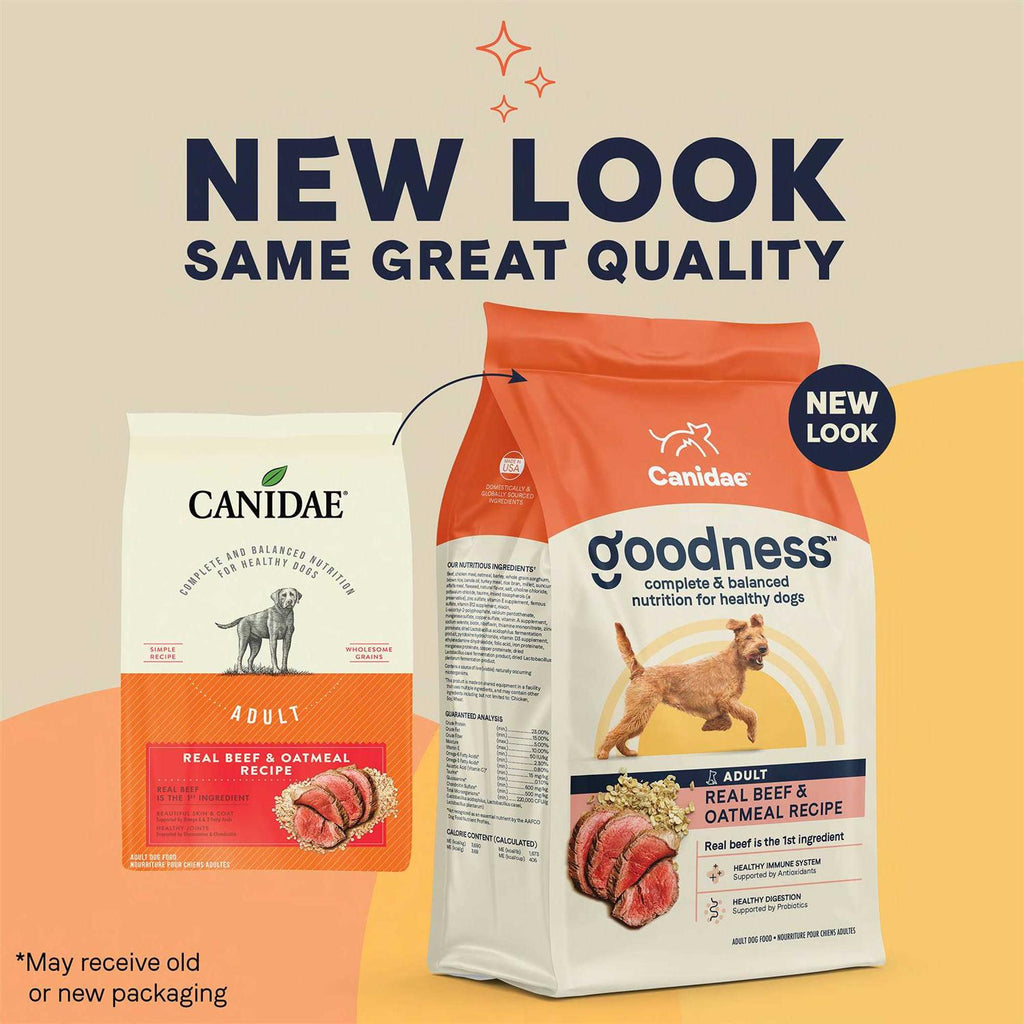 Adult Dry Dog Food Beef and Oatmeal B6790
