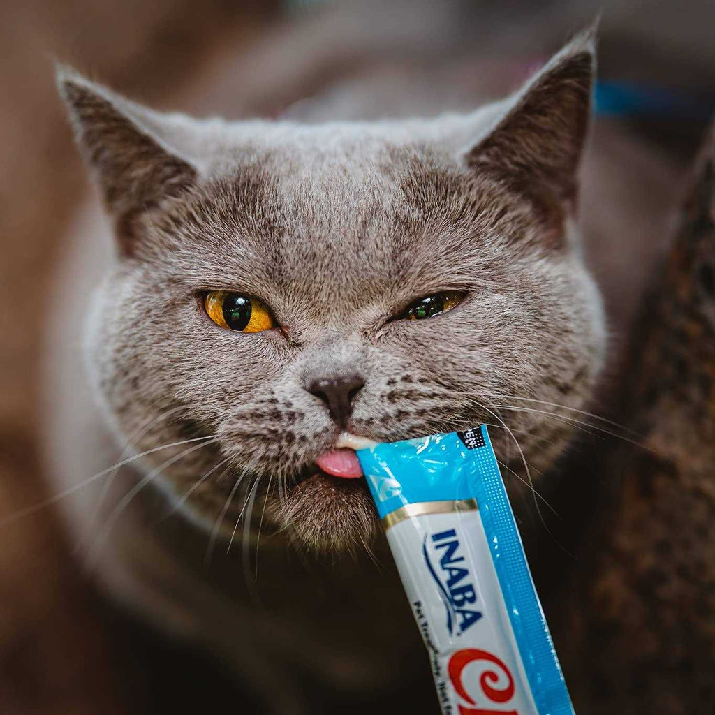 Lickable Tuna and Chicken Cat Treats T48235