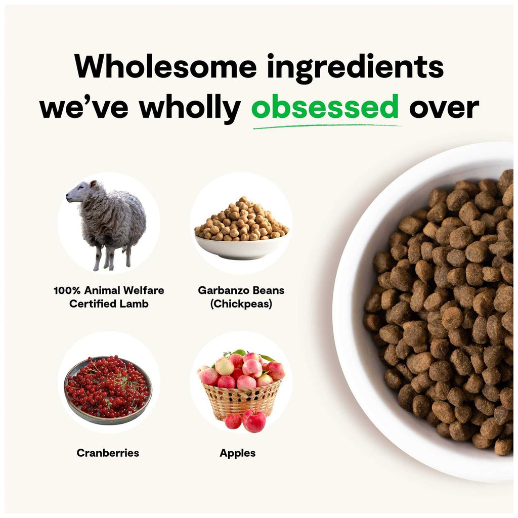 Grain-Free Pasture Raised Lamb Dry Dog Food U980
