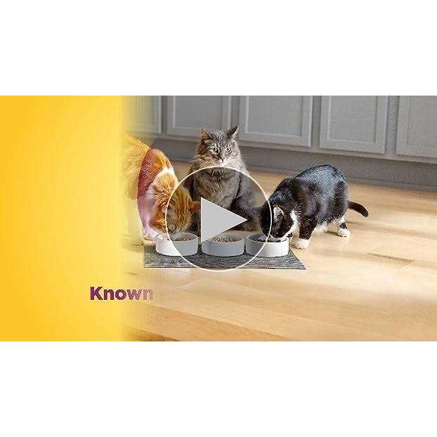 Hairball Control Dry Cat Food D9027