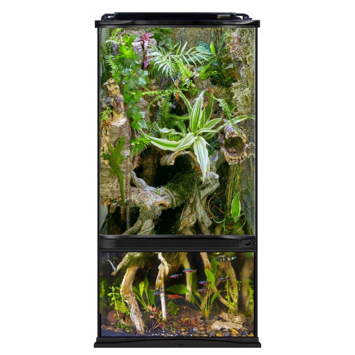 Paludarium Terrarium and Aquarium S351