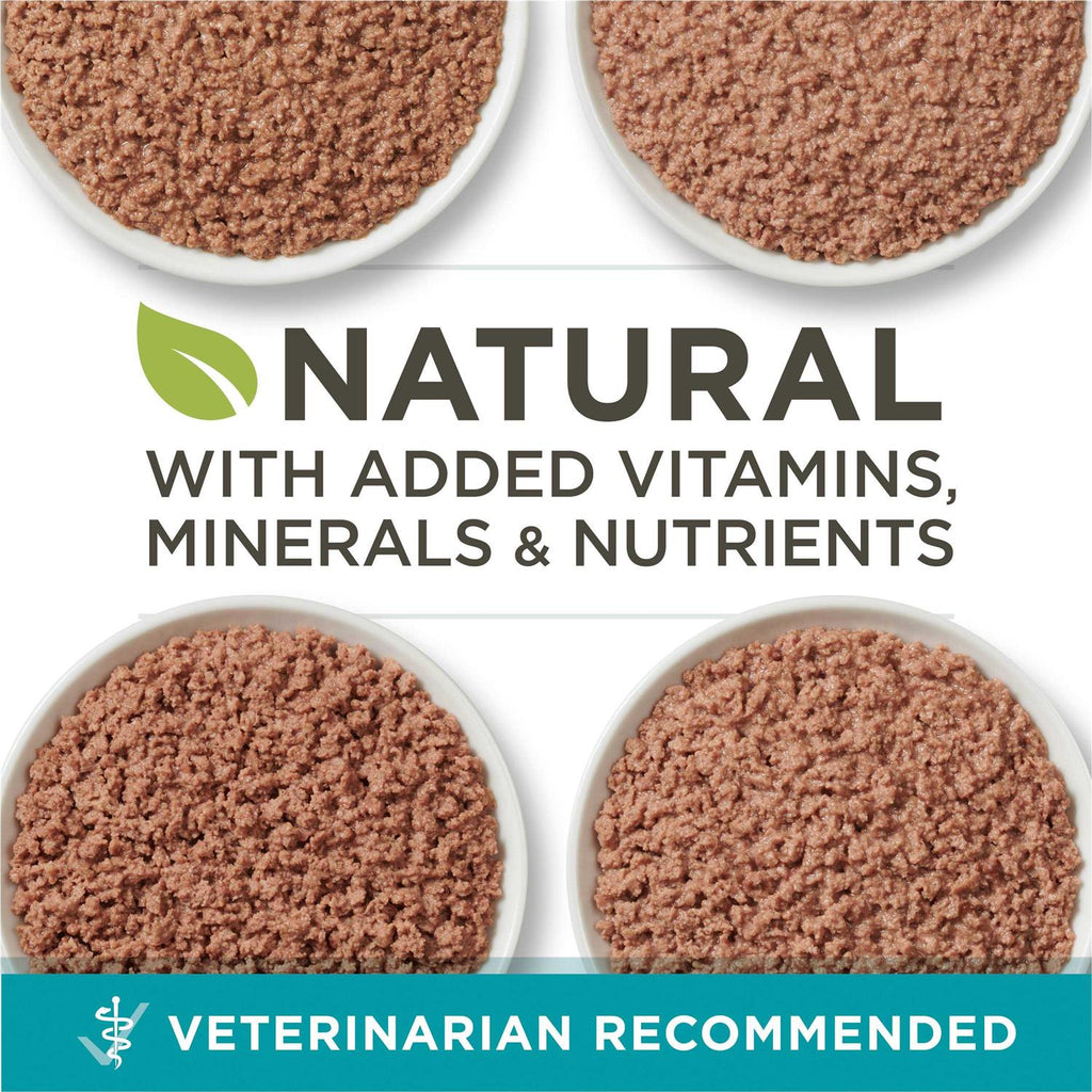High Protein Grain Free Pate Wet Cat Food Variety Pack O131401