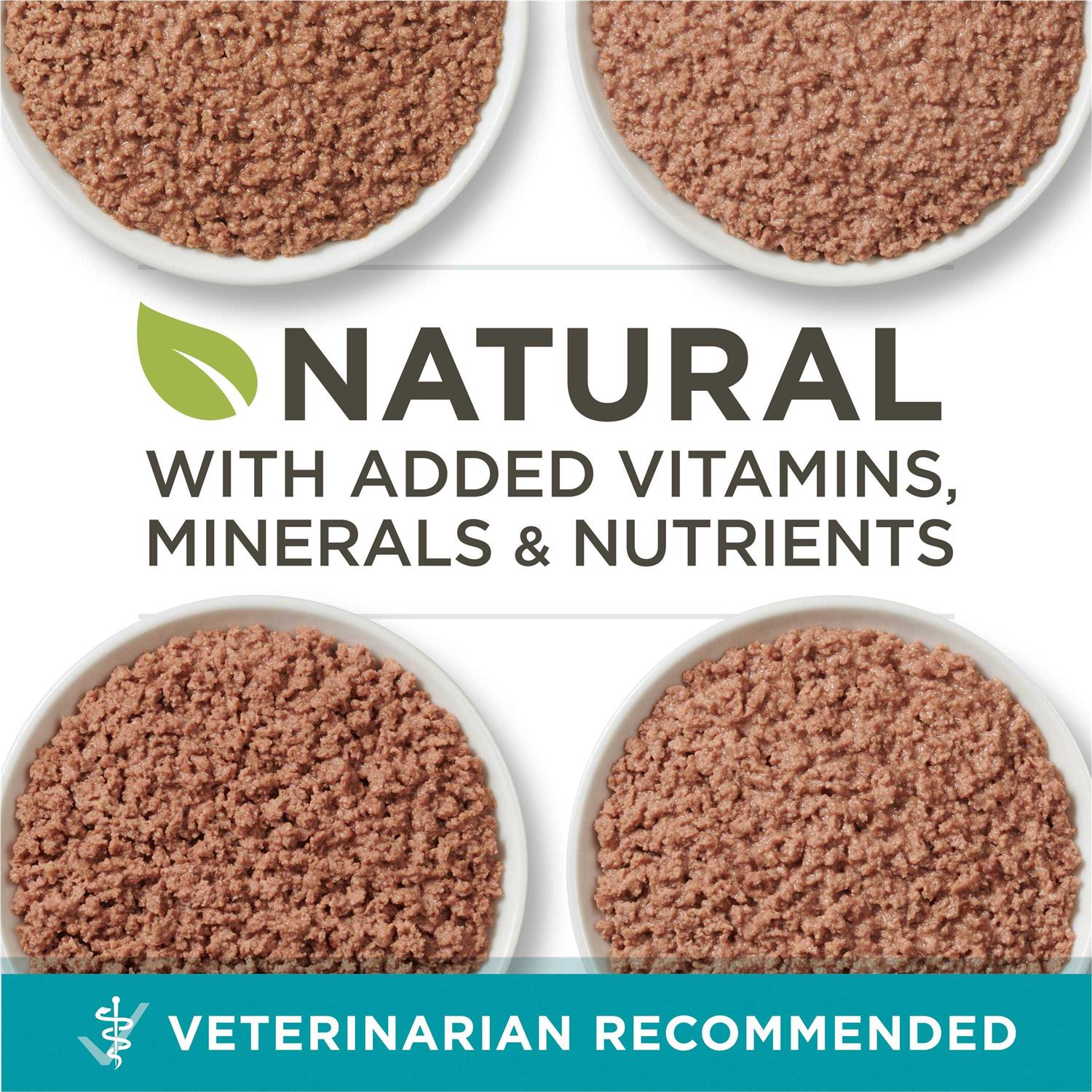 High Protein Grain Free Pate Wet Cat Food Variety Pack O131401