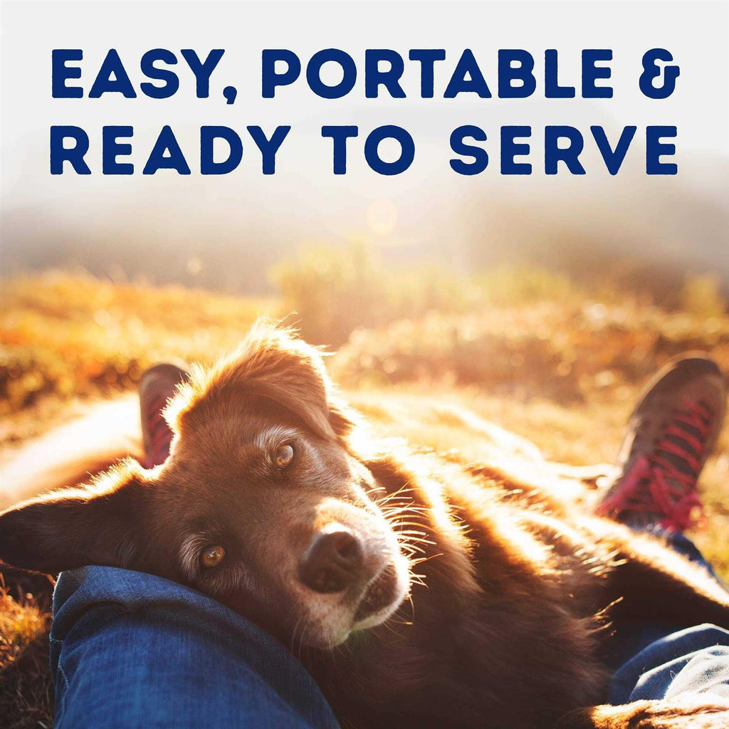 Tender Beef & Potato Recipe Wet Dog Food G2775