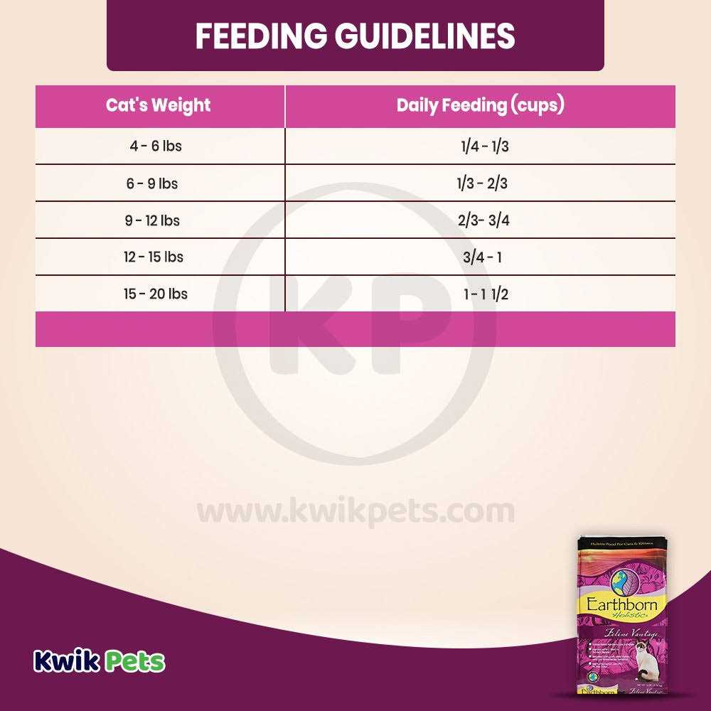 Dry Cat Food K355221