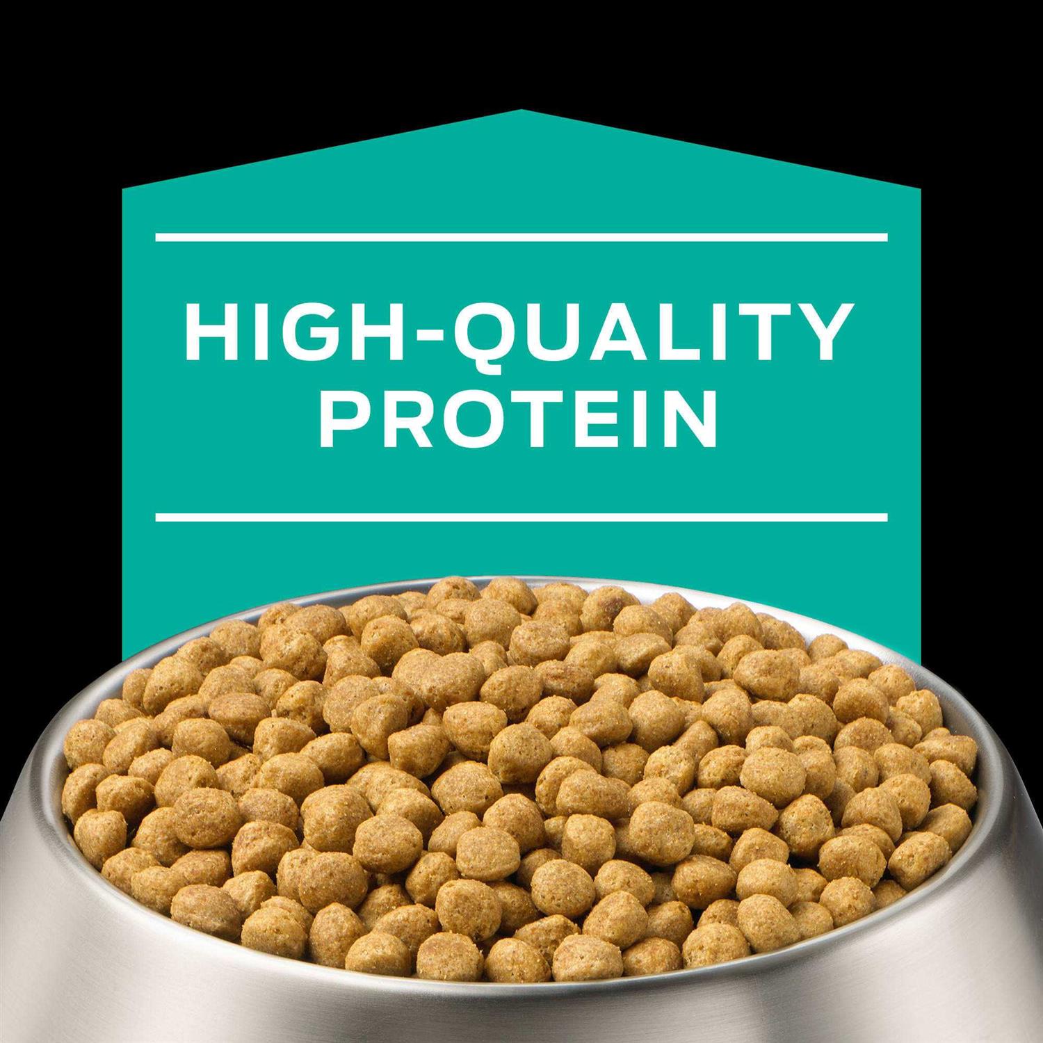 Gastroenteric Naturals Dry Dog Food M31881