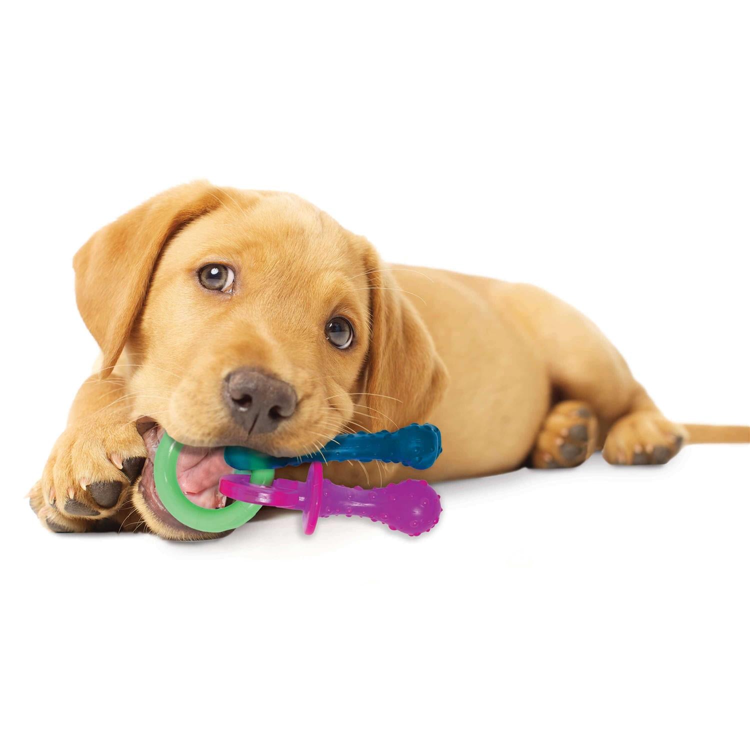 Puppy Chew Teething Pacifier R617