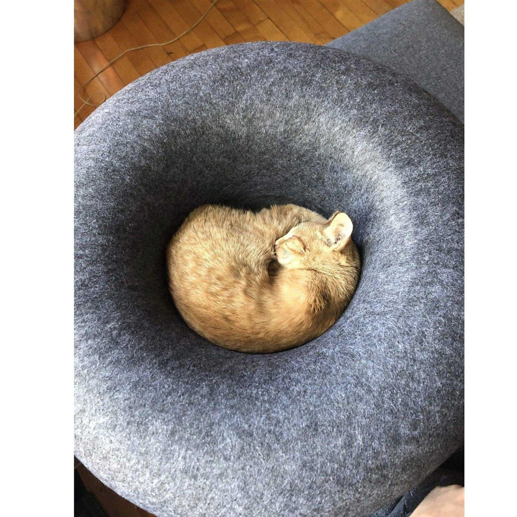 Cat Hideaway Cave H9809