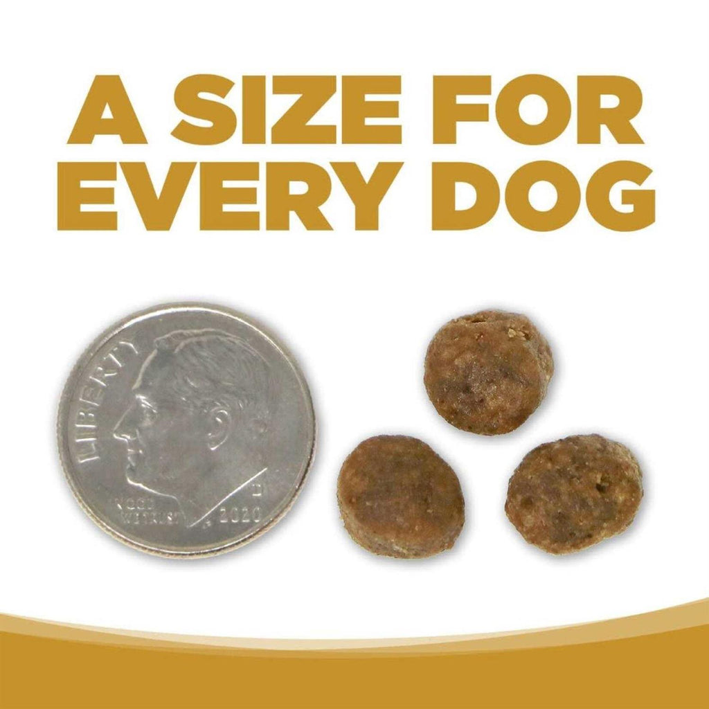 Grain Free Small Bites Dog Food I941307