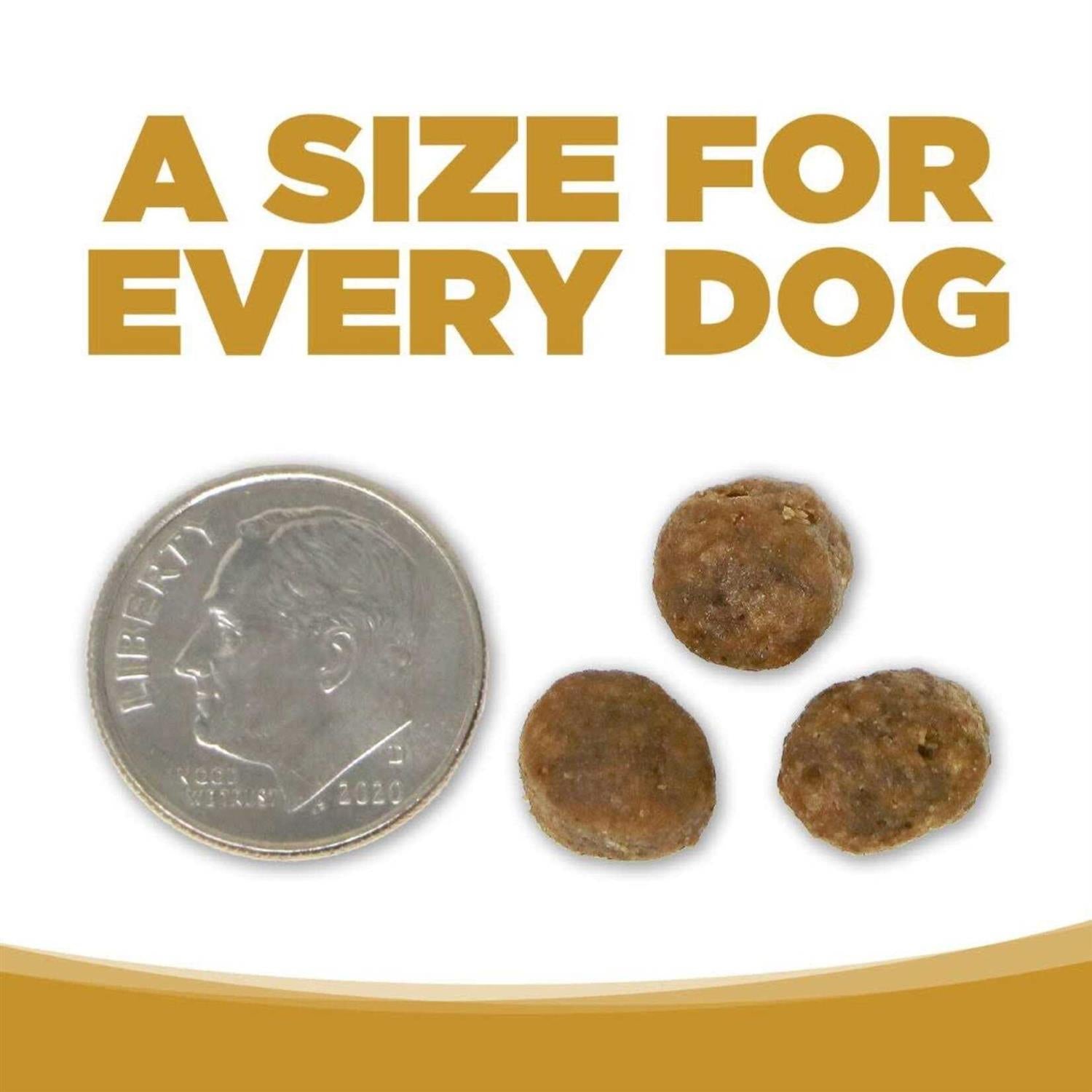 Grain Free Small Bites Dog Food I941307