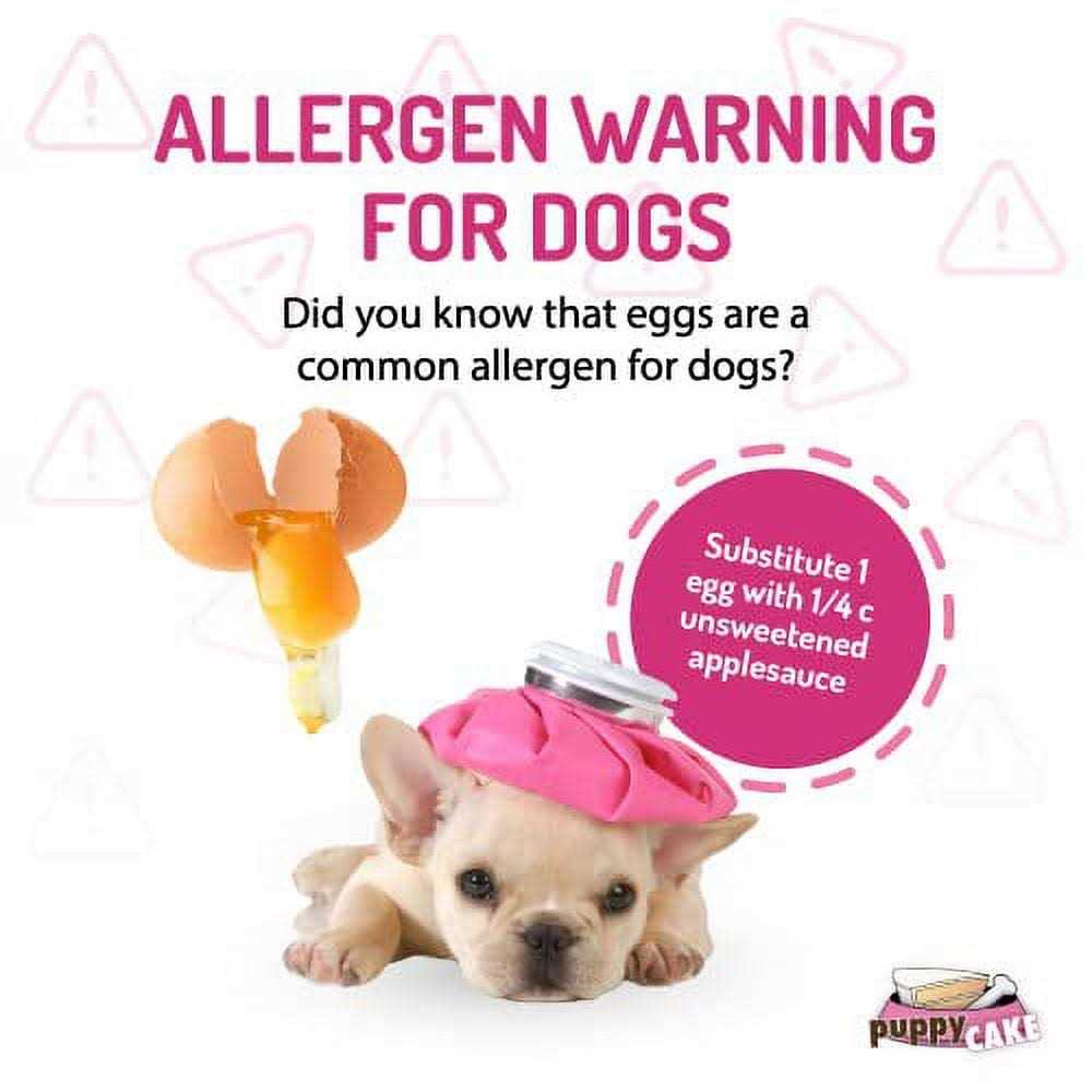 Dog Birthday Cake Kit Y26298