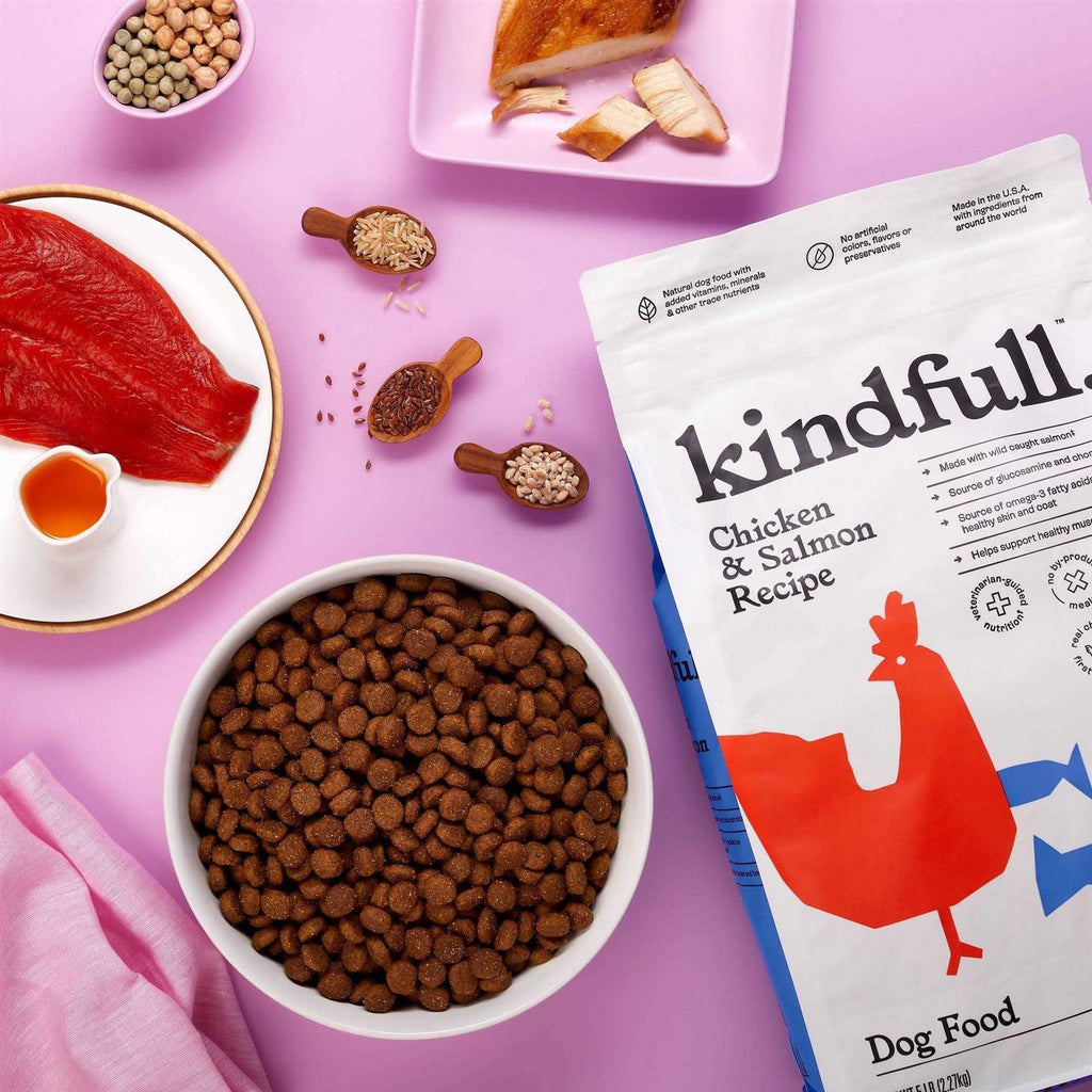 Chicken and Salmon Recipe Dry Dog Food S613595