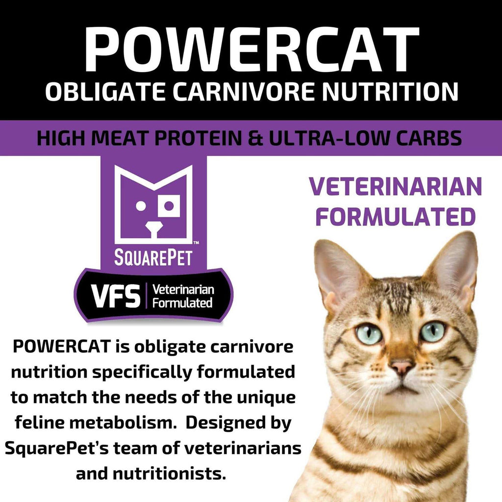 Turkey & Chicken Dry Cat Food U17656