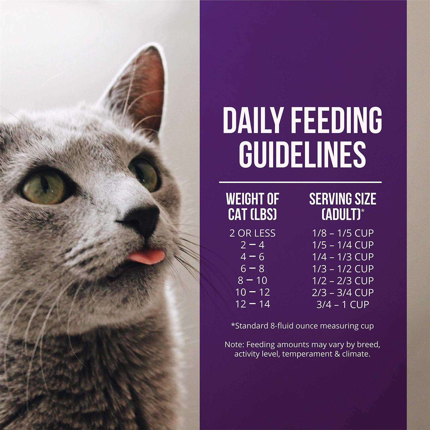Quail & Duck Meal Dry Cat Food G76322