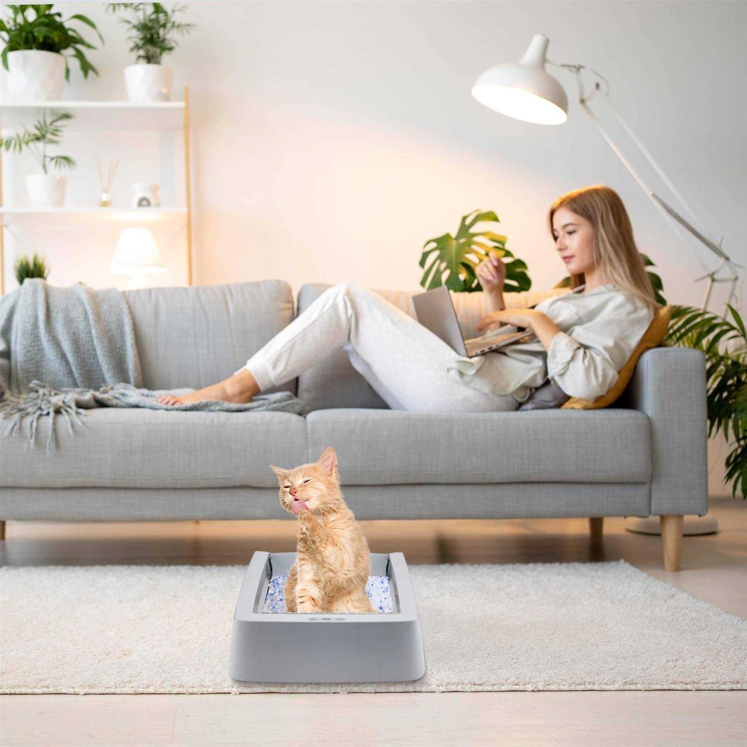 Stainless Steel Reusable Cat Litter Tray Z9280