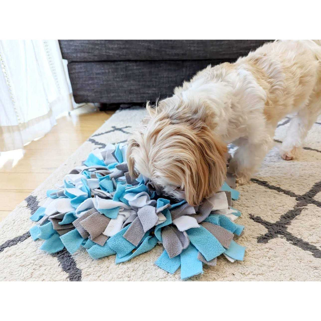 Snuffle Mat Dog Toy V71403