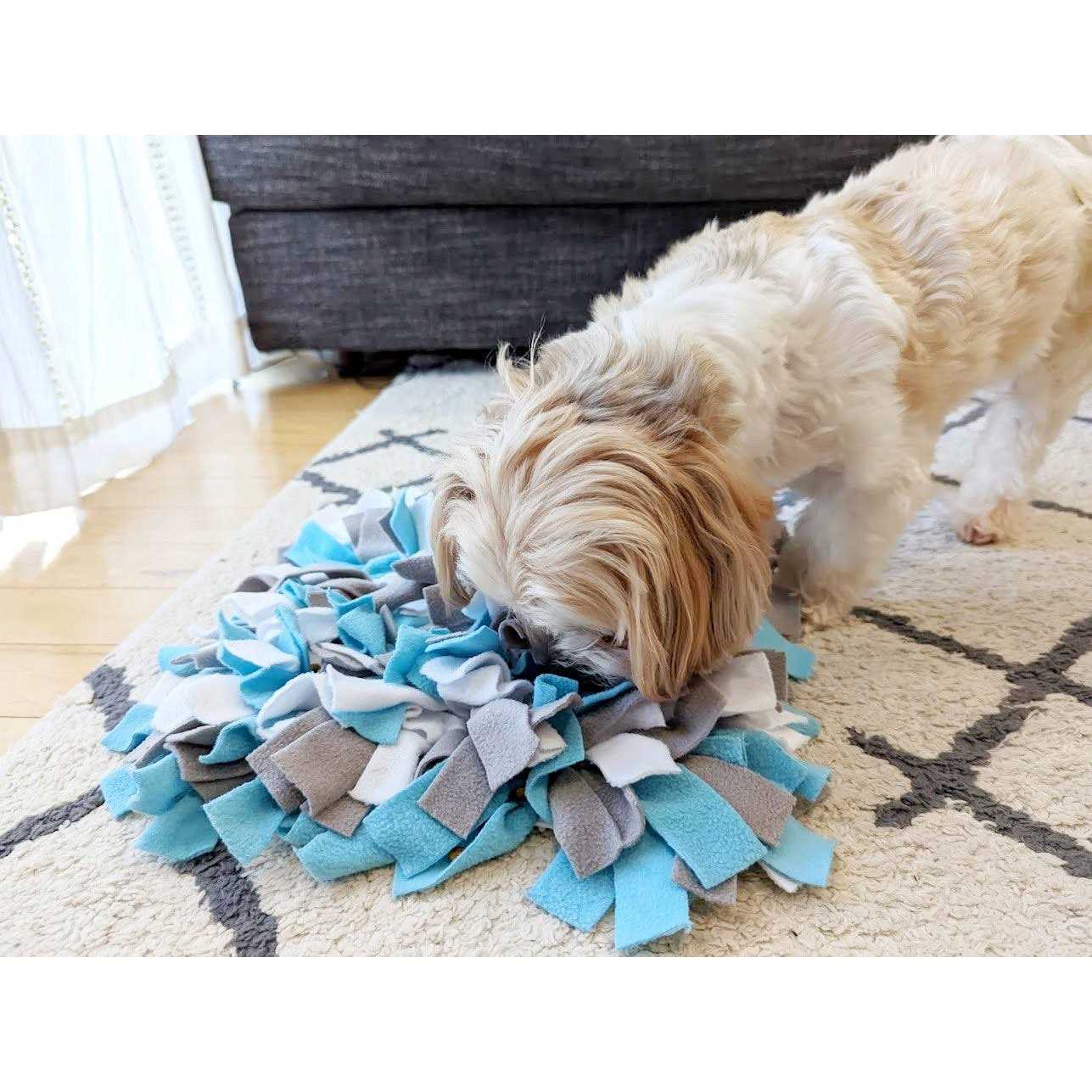 Snuffle Mat Dog Toy V71403