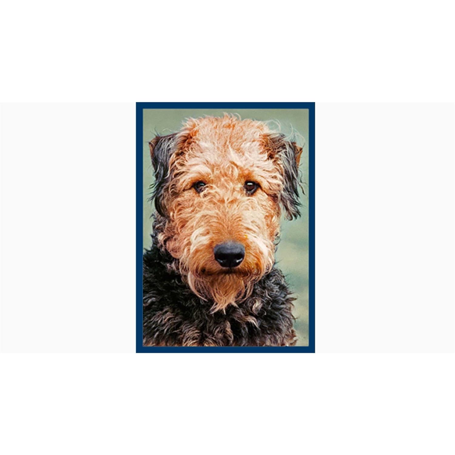 Dental Bones Dog Treats S886780
