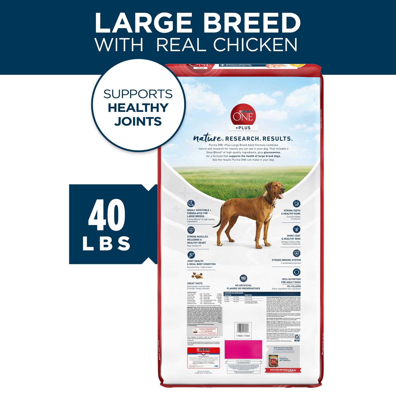 Large Breed Adult Dry Dog Food N55067