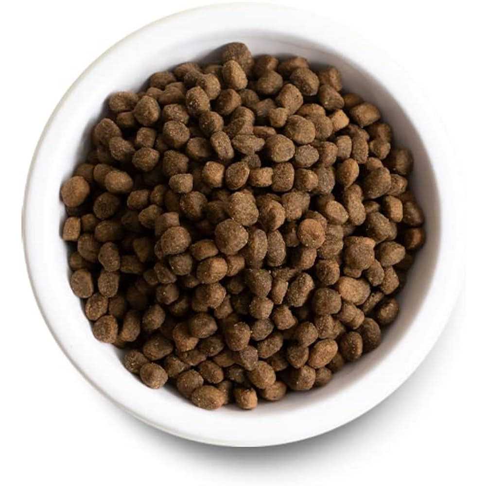 Harvest Chicken Ancient Grains Dry Dog Food E328
