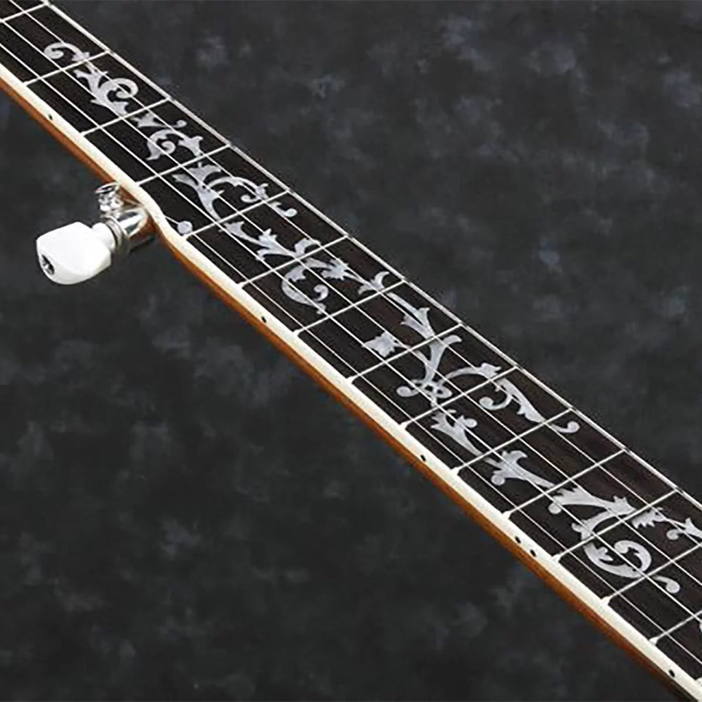 5-String Banjo G6316