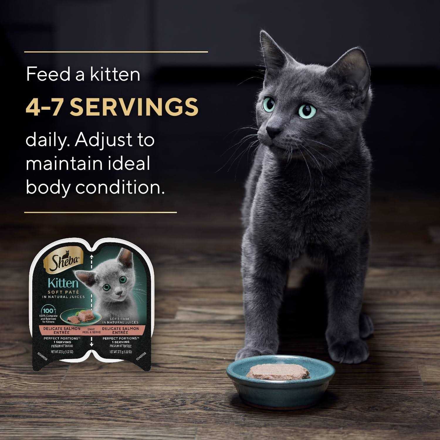 Wet Kitten Food Pate N842153