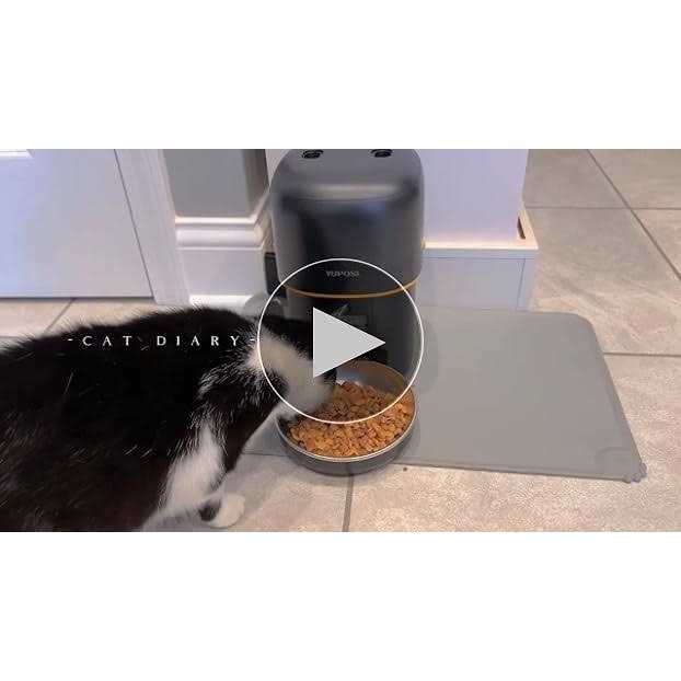 Automatic Cat Feeder 8 Cup Cat Food Dispenser I86786
