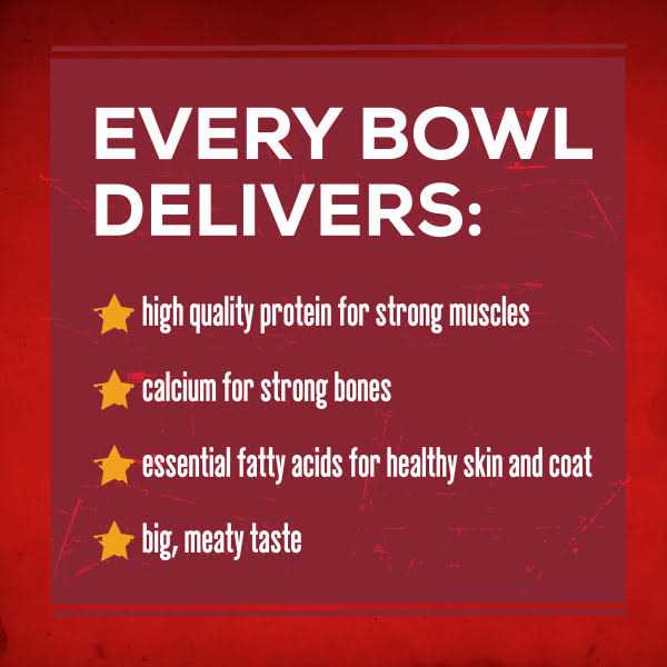 Savory Beef Dry Dog Food U55200