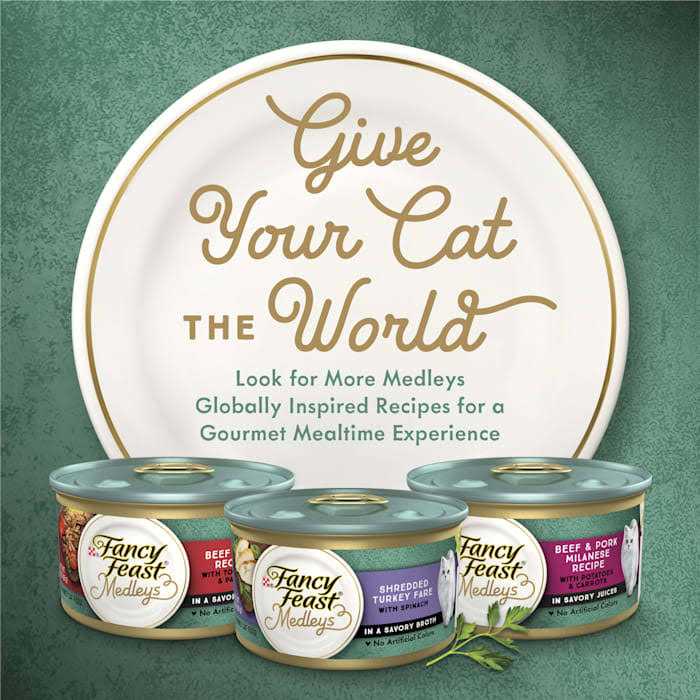 High Protein Medleys Wild Alaskan Salmon Recipe with Garden Veggies in Sauce Wet Cat Food P29540