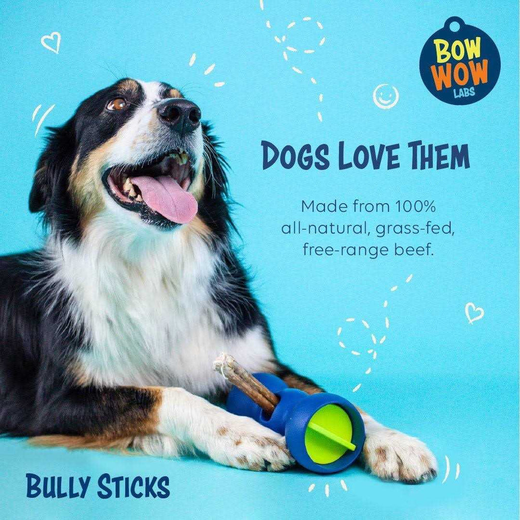 Safe Fit Bully Sticks for Dogs W48665