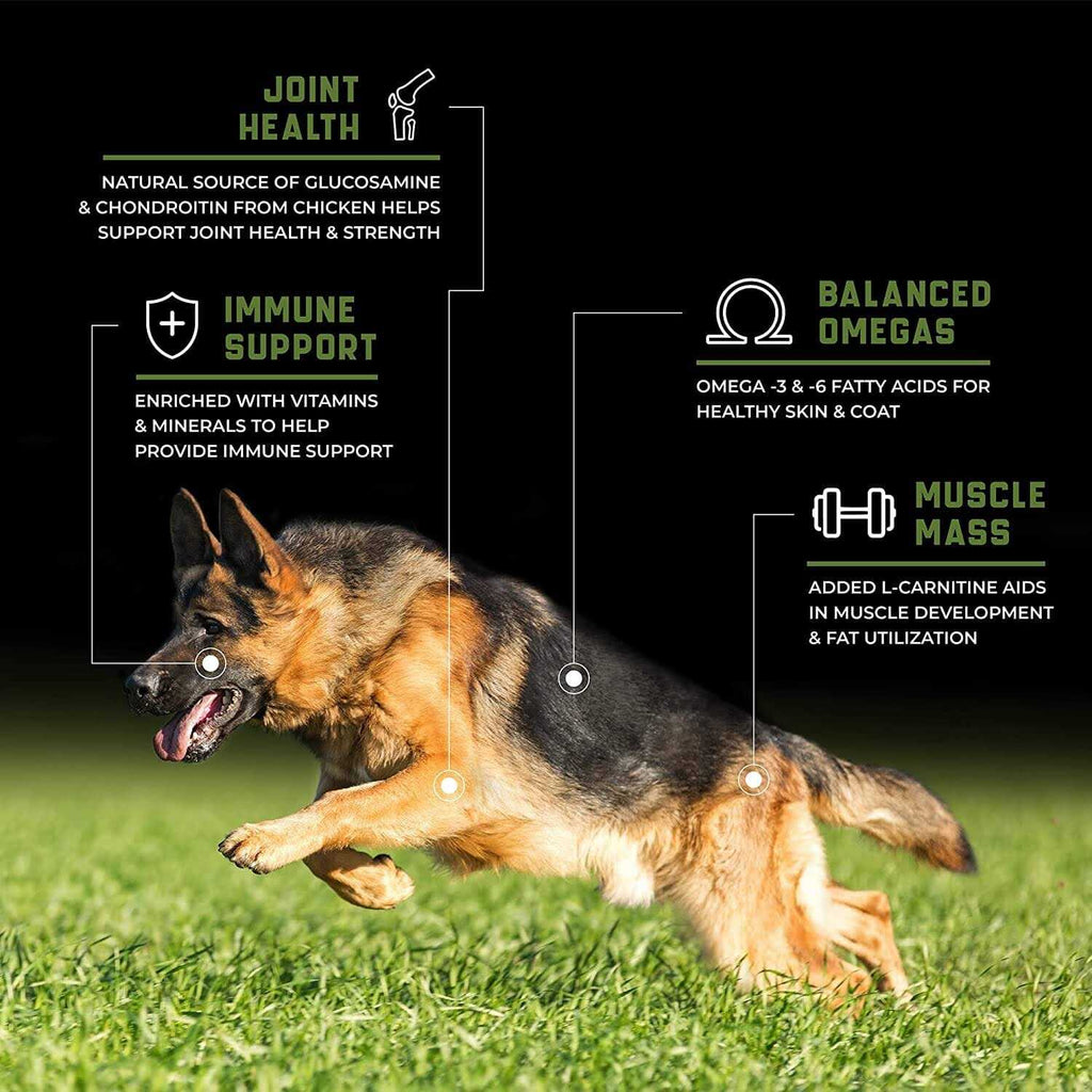 Grain-Free Performance Chicken Dry Dog Food G668287