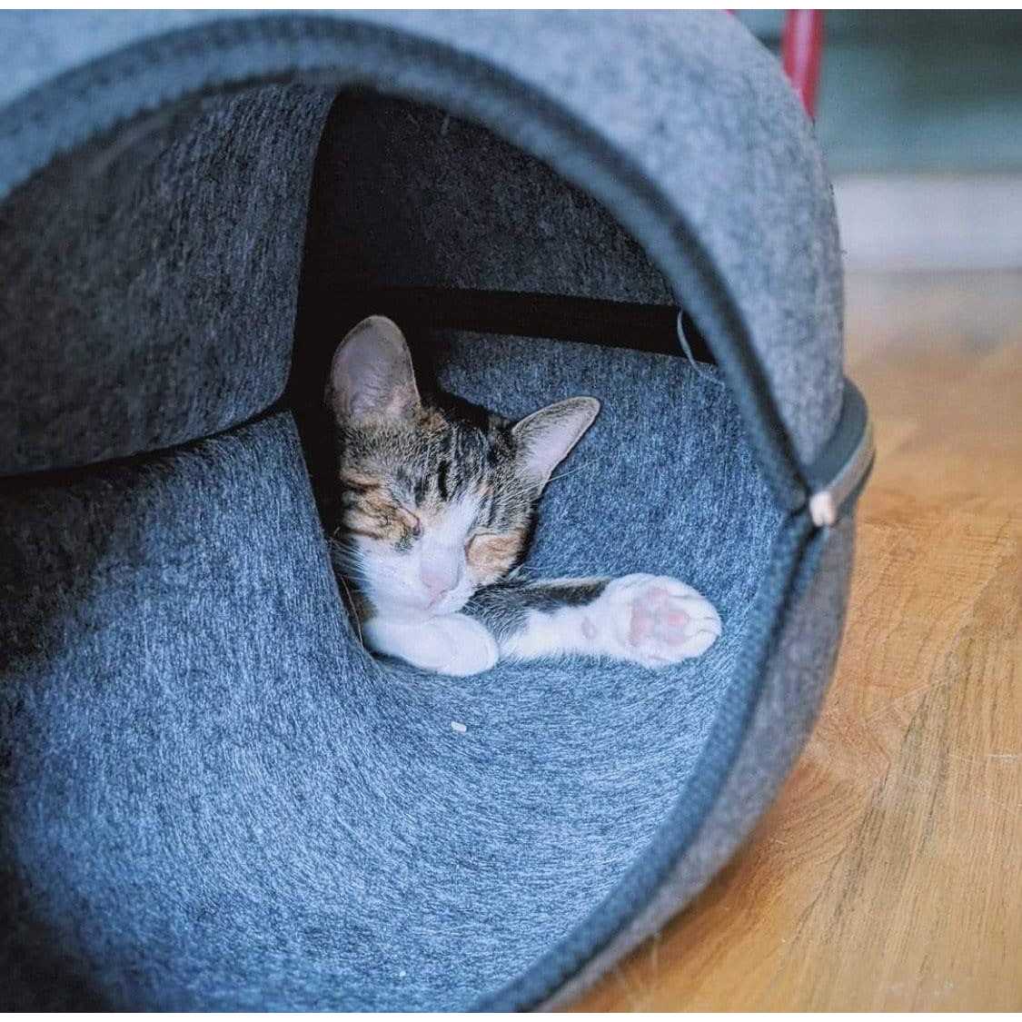 Cat Hideaway Cave H9809