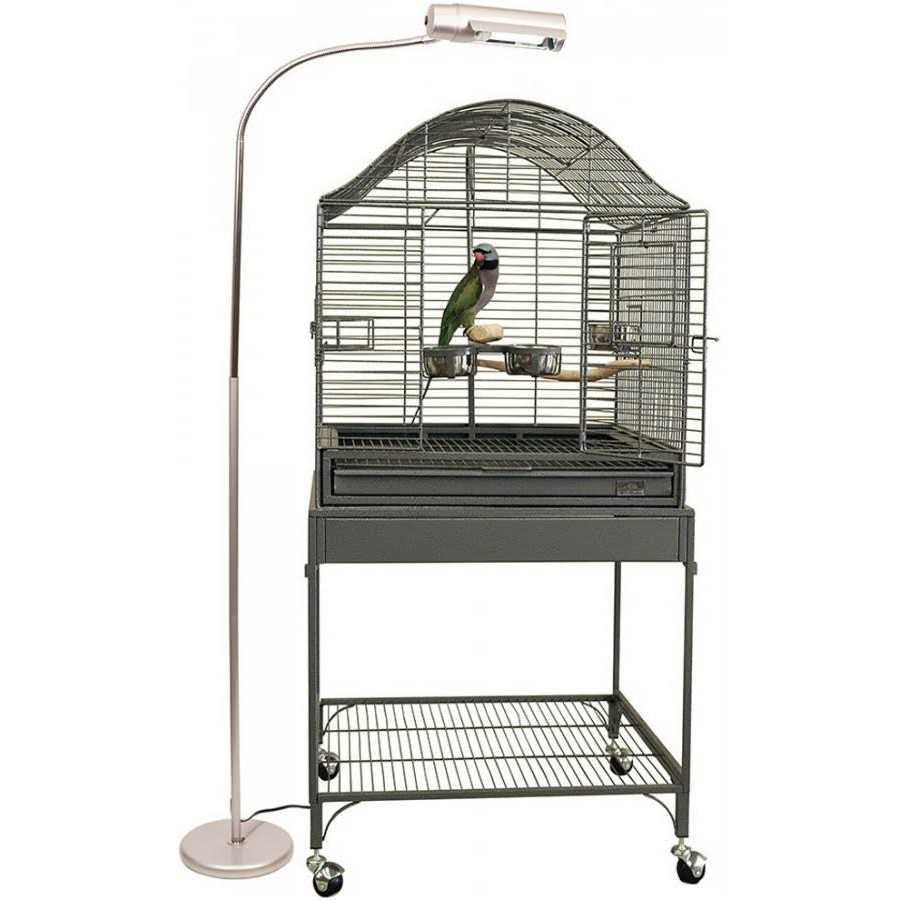 Avian Sun Deluxe Floor Lamp G776400