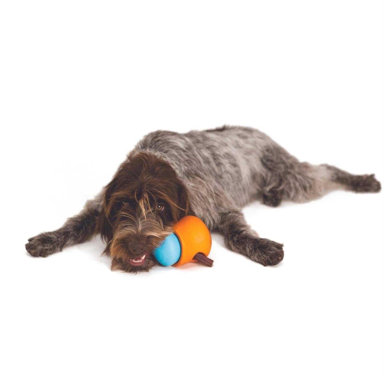 Dog Toy H4855