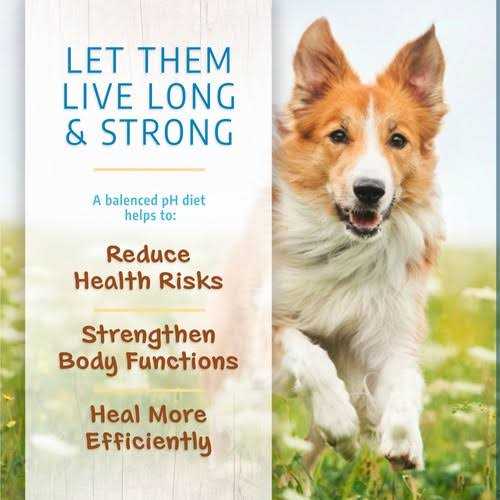 Limited Ingredient Dry Dog Food for All Life Stages K956051