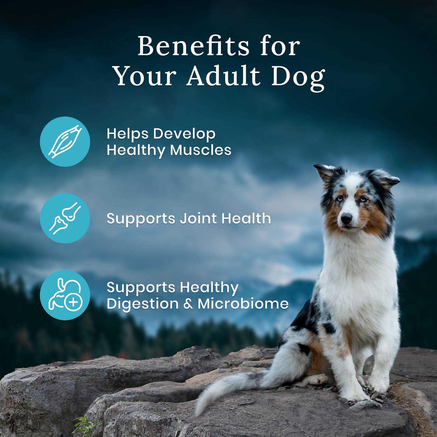 Adult Dog Food Chicken Dry Blend Q9050
