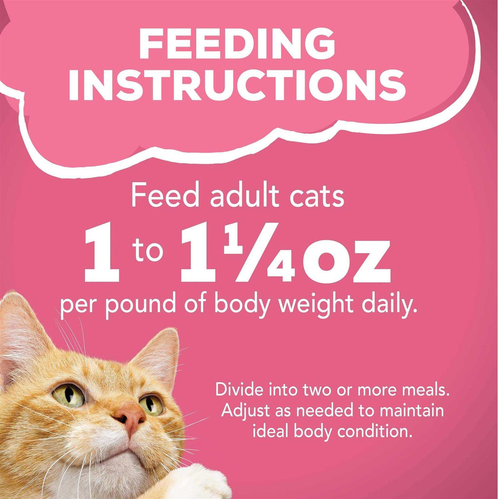 Wet Cat Food Surfin & Turfin X933259