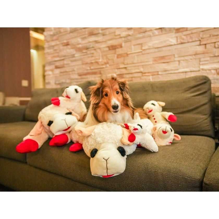Lamb Chop Dog Bed N1464
